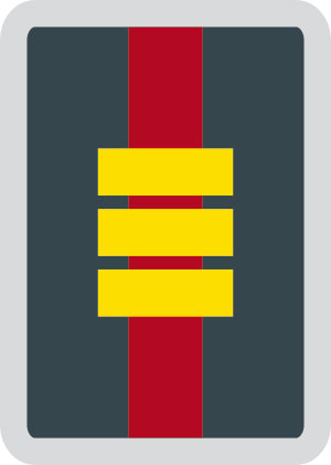 Dienststellungsabzeichen stv. op. Krisenmanager Kreis