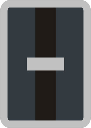 Dienststellungsabzeichen Truppführer Technik u. Sicherheit