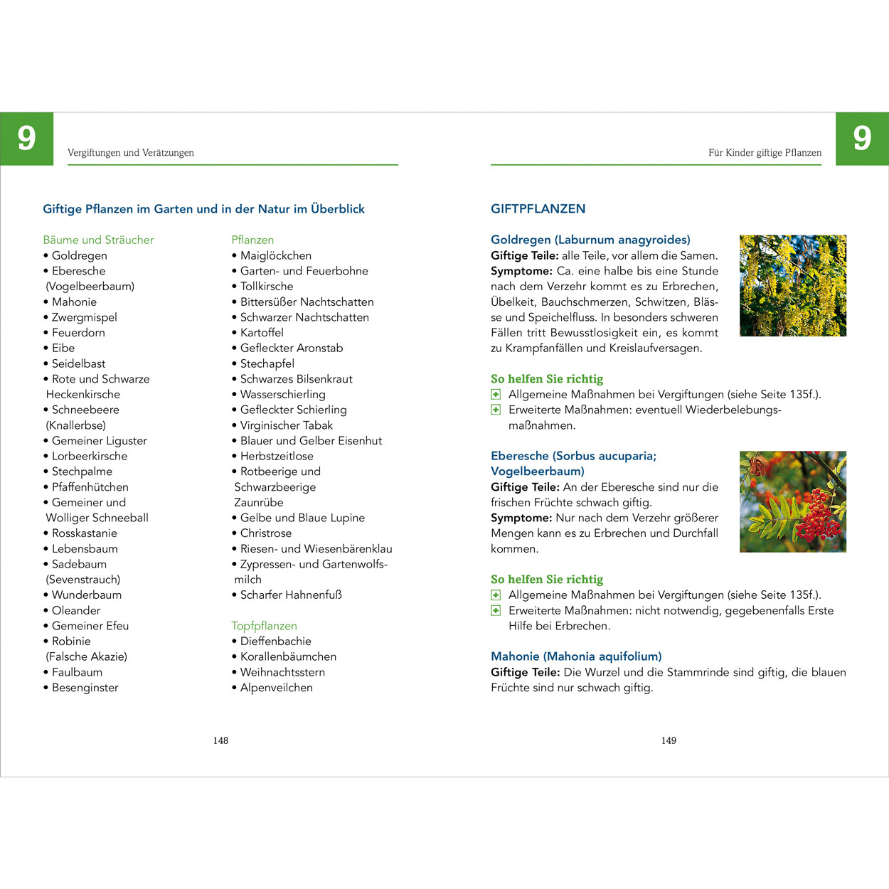 Erste Hilfe - Das offizielle Handbuch