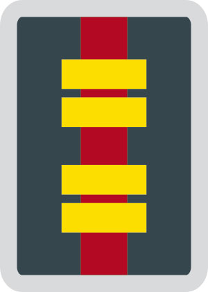 Dienststellungsabzeichen Op. Krisenmanager